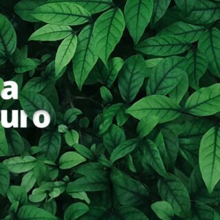 Semana del Seguro 2020